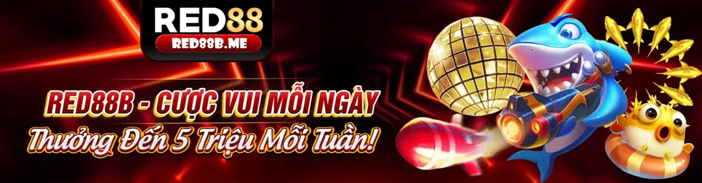 Chính sách Bảo mật V7SB - Bảo vệ thông tin người dùng