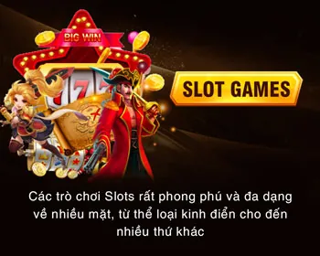 Chính sách chơi có trách nhiệm V7SB